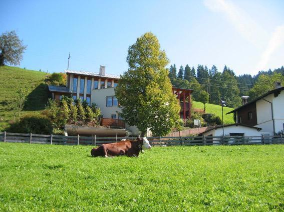 Studio 21A Hopfgarten im Brixental Zewnętrze zdjęcie